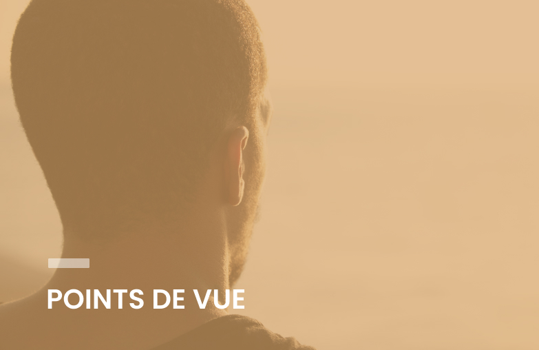point de vue-LD