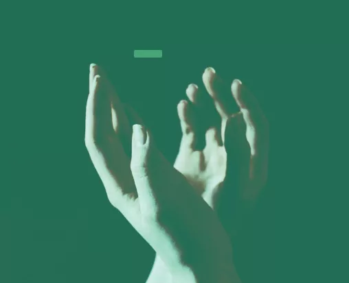 contact-transformation-advisory